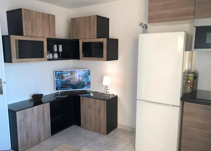 公寓 La Grande Roue Vue Magnifique 阿格德