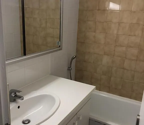 公寓 La Grande Roue Vue Magnifique