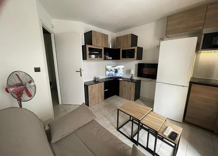 La Grande Roue Vue Magnifique 公寓 *